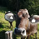 Διαμέρισμα Deine Auszeit Im Allgaeu Missen-Wilhams